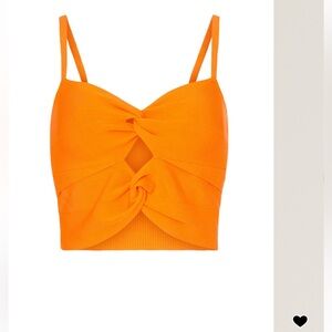 Sandro Palmier Top size 0